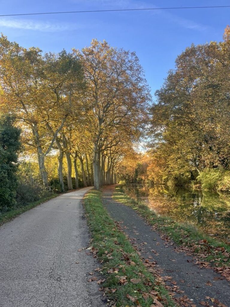 Paysage du Lauragais en automne, coteaux et campagne du sud-est toulousain