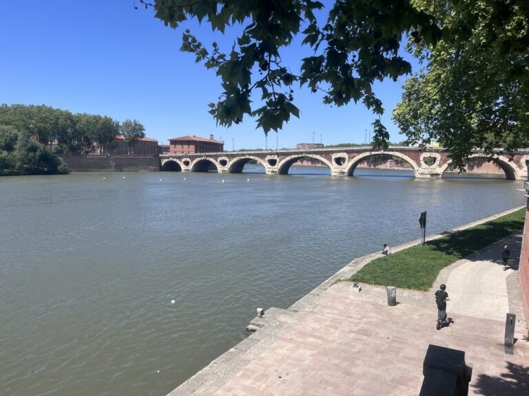 Quais de la Garonne et Pont-Neuf à Toulouse — investir à Toulouse